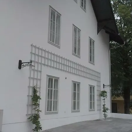 Bertholini *